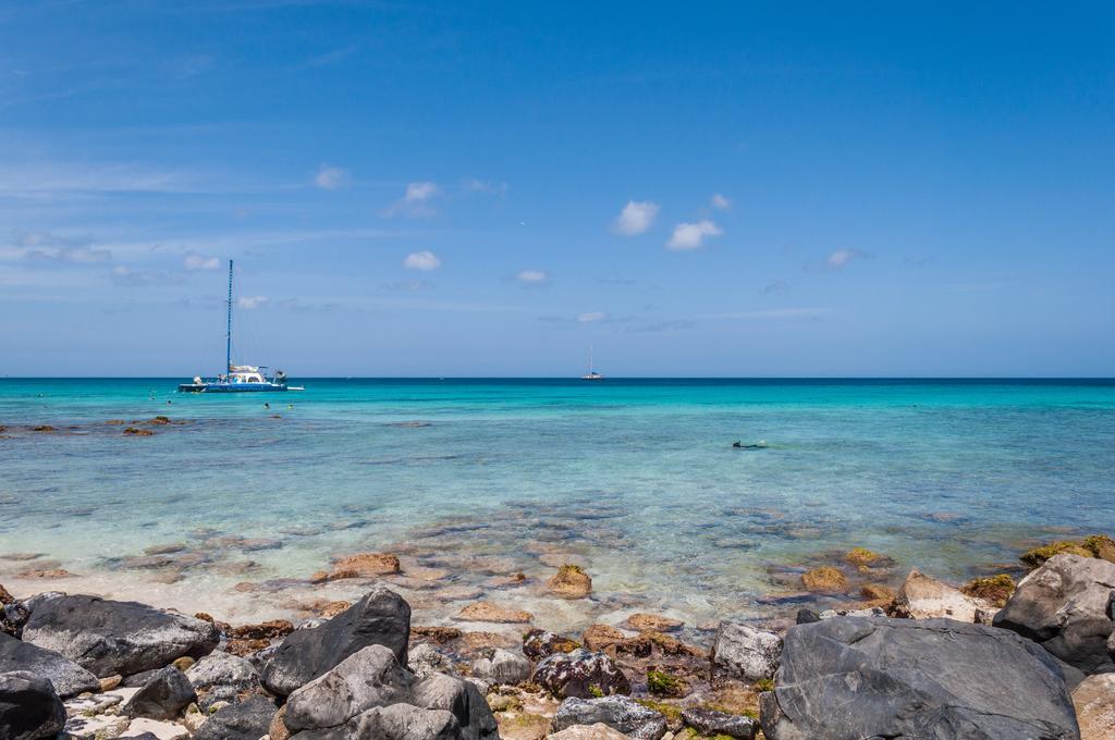Villa Bougainvillea Aruba, The Tango Suite パームビーチ エクステリア 写真