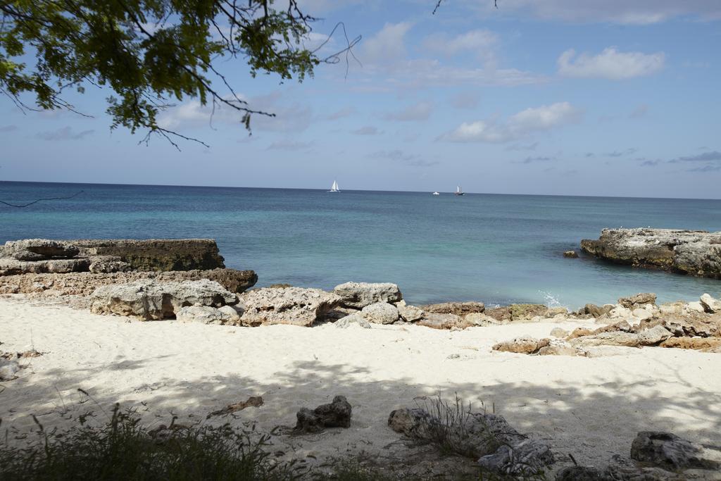 Villa Bougainvillea Aruba, The Tango Suite パームビーチ エクステリア 写真