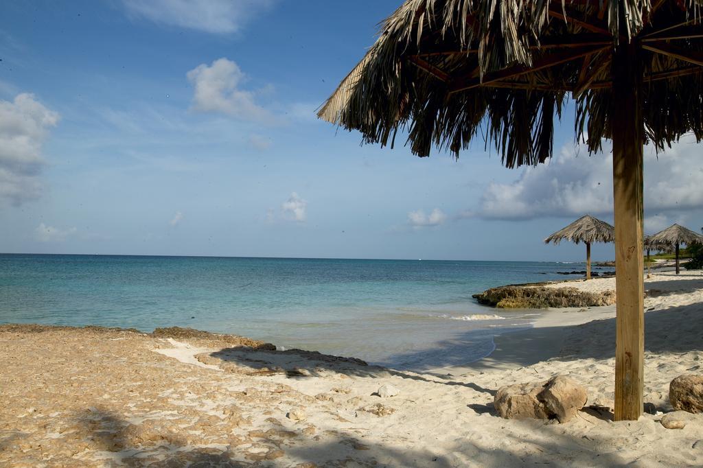 Villa Bougainvillea Aruba, The Tango Suite パームビーチ エクステリア 写真