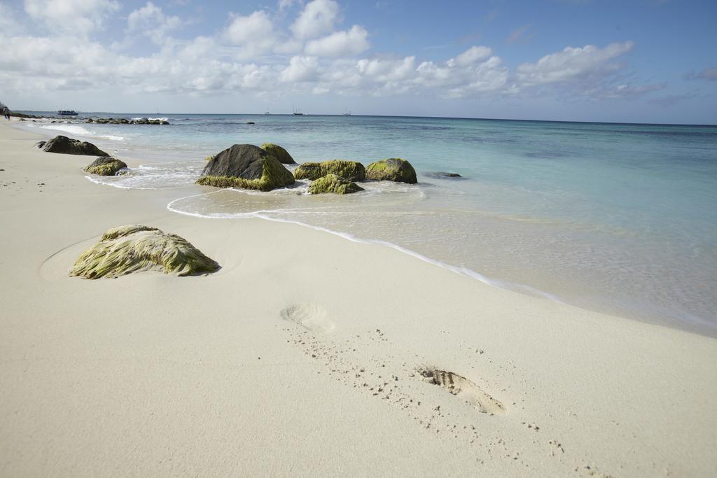 Villa Bougainvillea Aruba, The Tango Suite パームビーチ エクステリア 写真