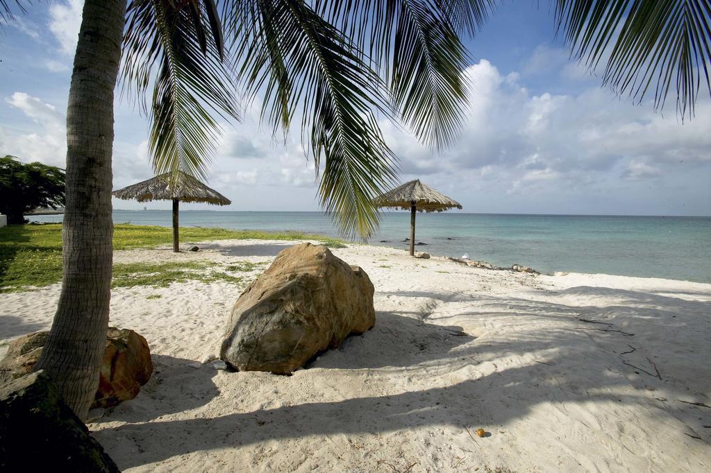 Villa Bougainvillea Aruba, The Tango Suite パームビーチ エクステリア 写真